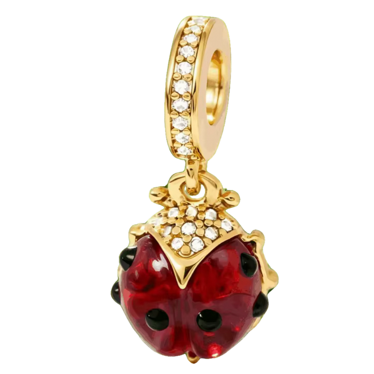 Bugs & Butterflies Collection