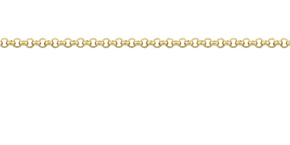 Silver Rolo Chain Necklace
