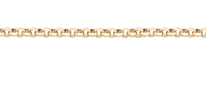 Rolo Chain Necklace
