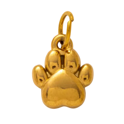 Animal Collection