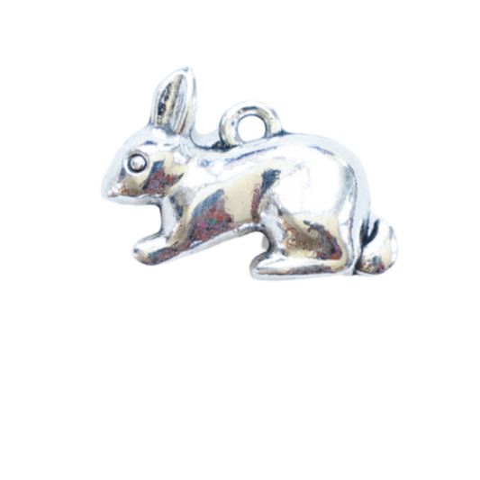 Animal Collection