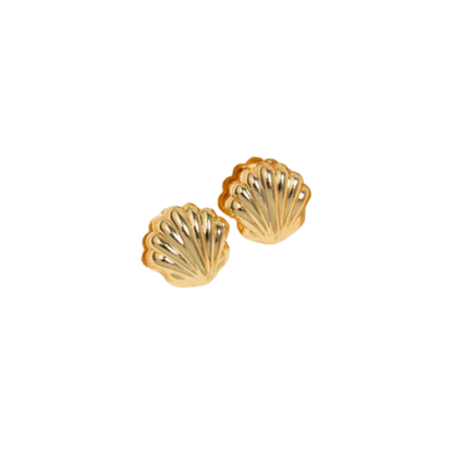 Gold Sea Shell Earrings