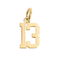 Small Gold Number Sports Collection - 13