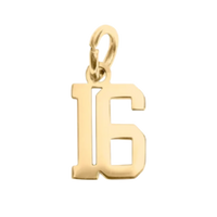 Small Gold Number Sports Collection - 16