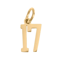 Small Gold Number Sports Collection - 17