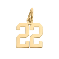 Small Gold Number Sports Collection - 22