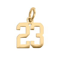 Small Gold Number Sports Collection - 23