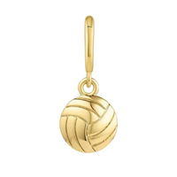 Sport Collection - Gold Volleyball