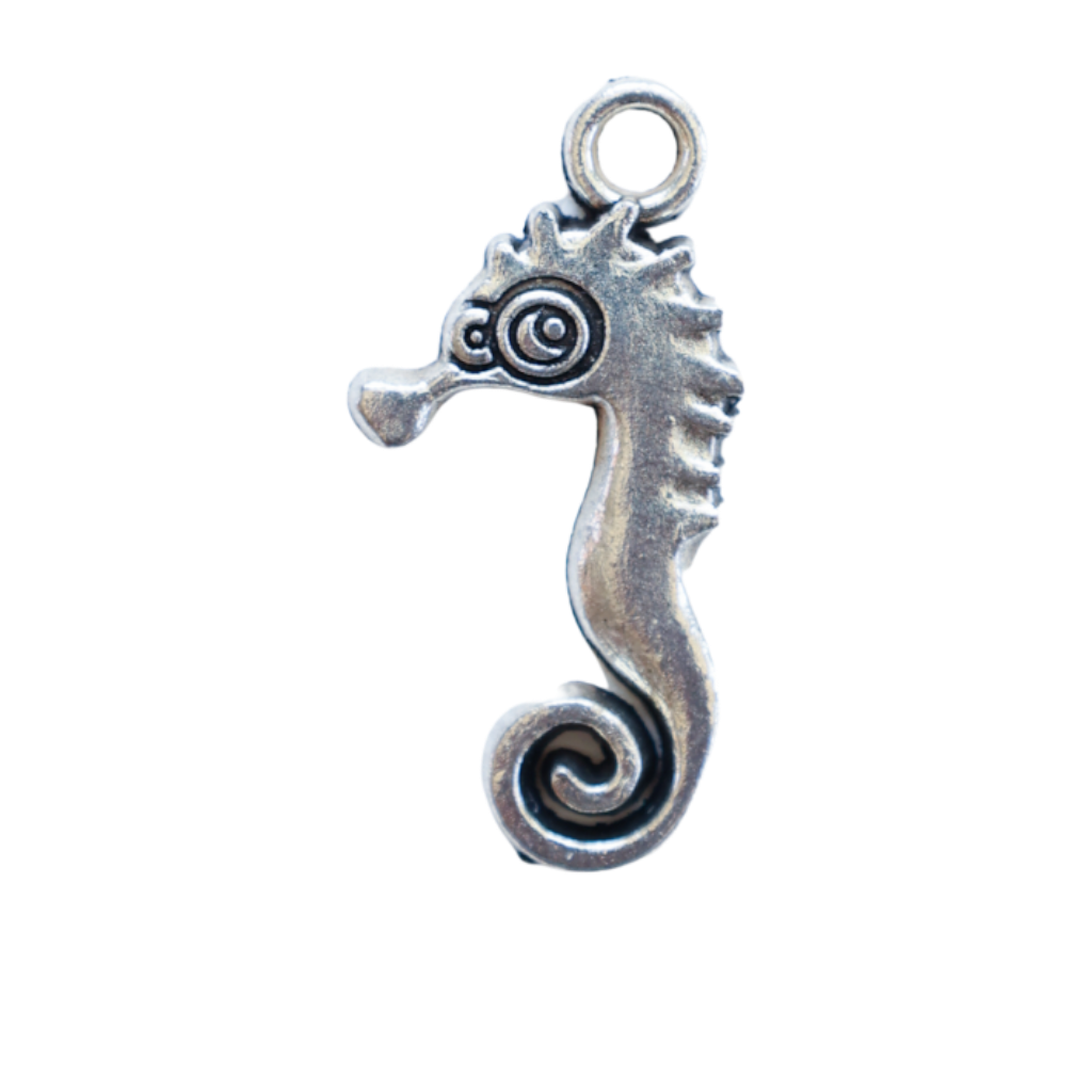 Sea & Ocean Collection