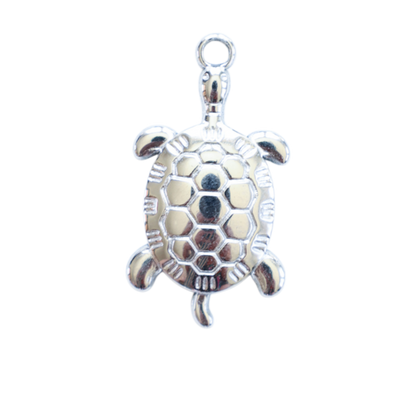 Sea & Ocean Collection