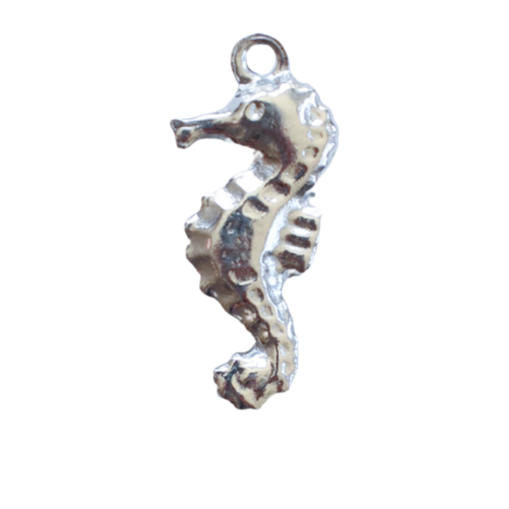 Sea & Ocean Collection