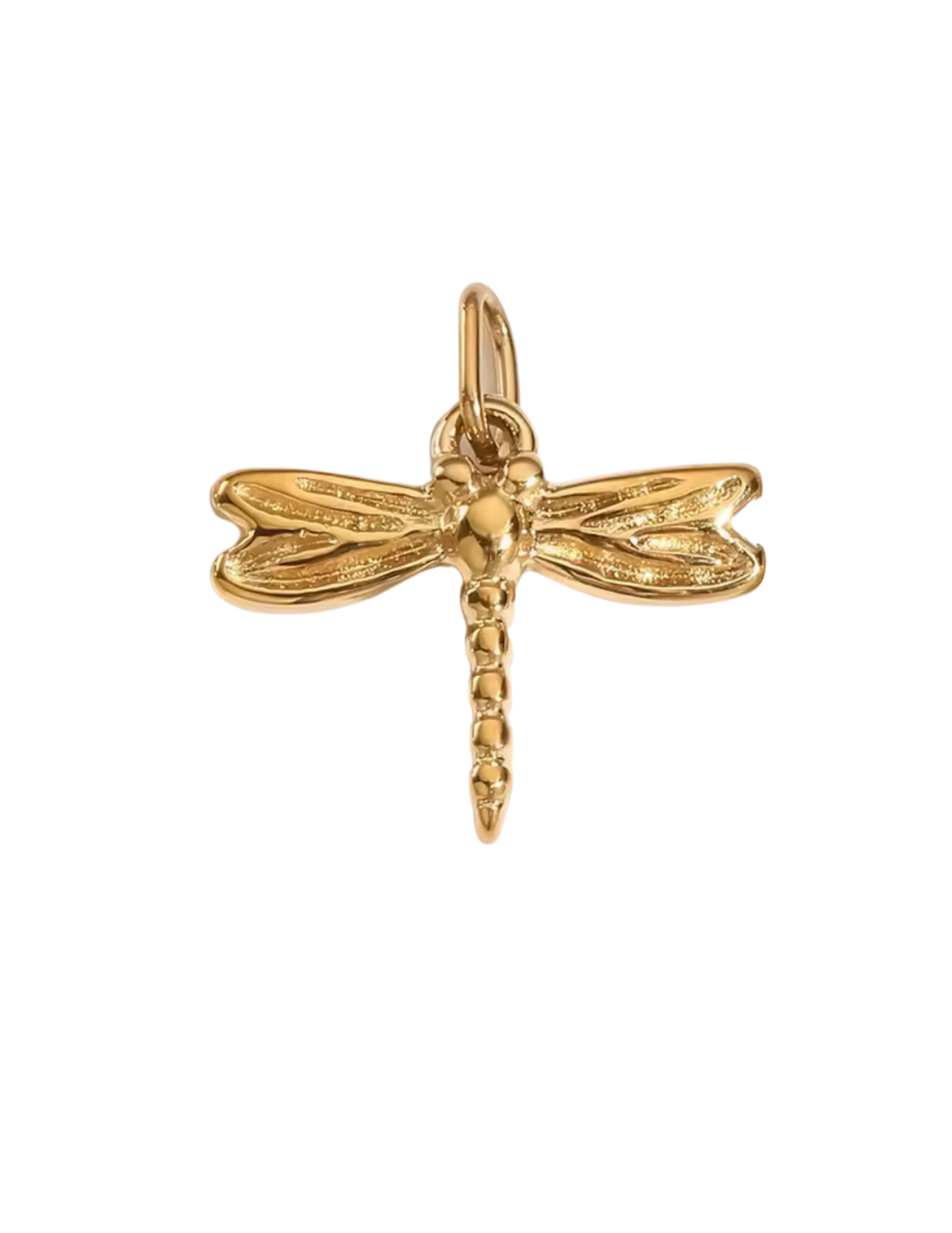 Bugs & Butterflies Collection