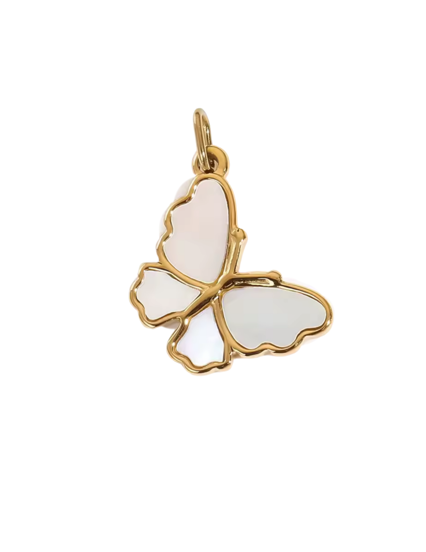 Bugs & Butterflies Collection