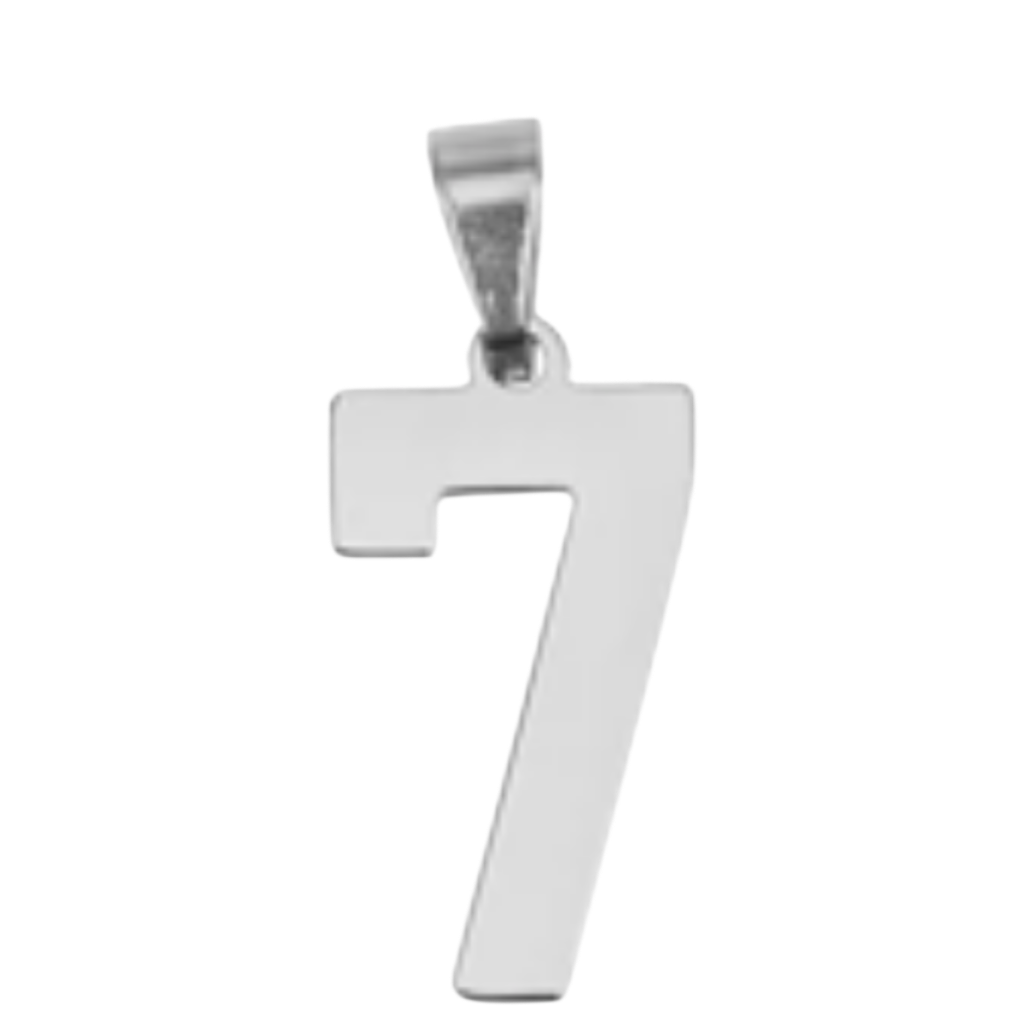 Large Silver Sports Number Collection