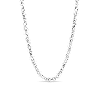 Silver Rolo Chain Necklace