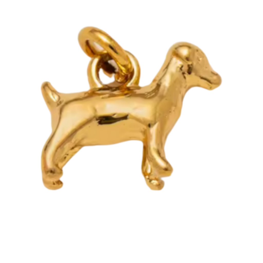Animal Collection