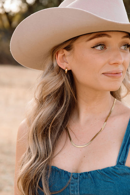 Gold Chunky Earrings