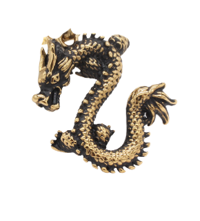 Reptiles & Dragons Collection