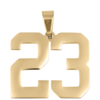 Large Gold Number Sports Collection - 23