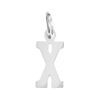 Small Silver Letter Sports Collection - X