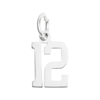Small Silver Number Sports Collection - 12