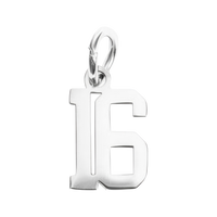 Small Silver Number Sports Collection - 16