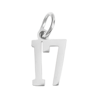 Small Silver Number Sports Collection - 17