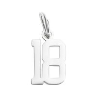 Small Silver Number Sports Collection - 18