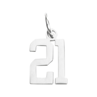 Small Silver Number Sports Collection - 21