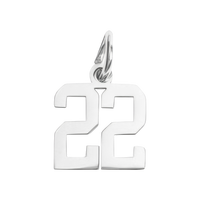Small Silver Number Sports Collection - 22