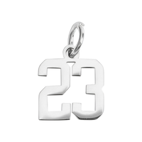 Small Silver Number Sports Collection - 23