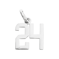 Small Silver Number Sports Collection - 24