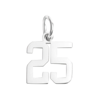 Small Silver Number Sports Collection - 25