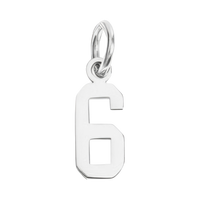 Small Silver Number Sports Collection - 6