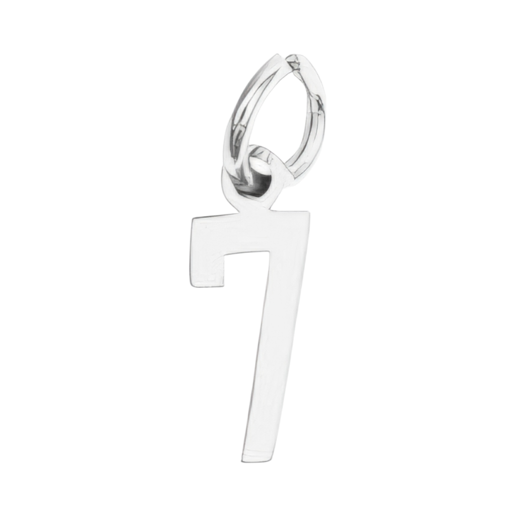 Small Silver Number Sports Collection