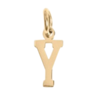 Small Gold Letter Sports Collection - Y
