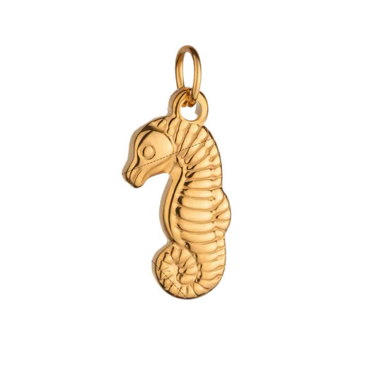 Sea & Ocean Collection