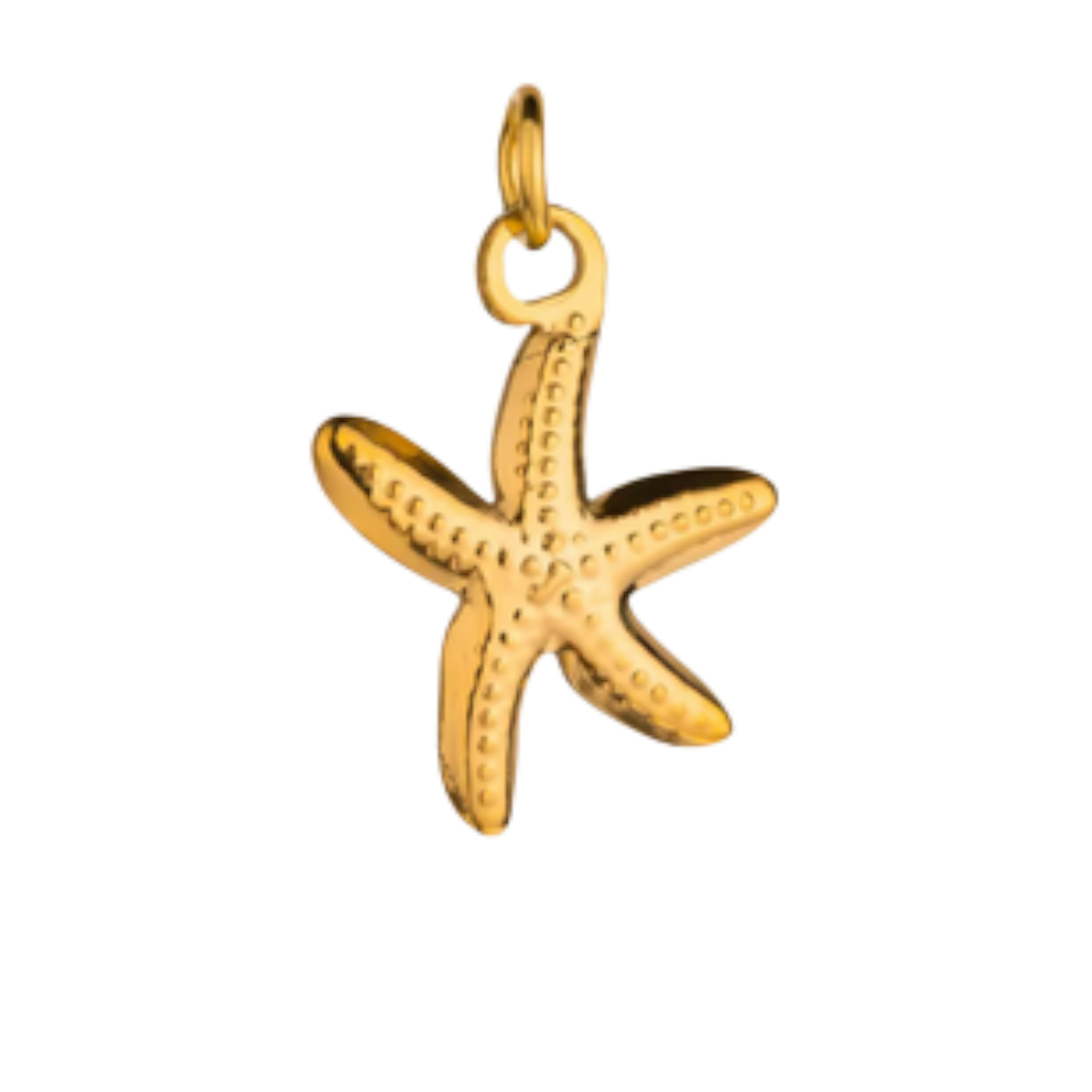 Sea & Ocean Collection