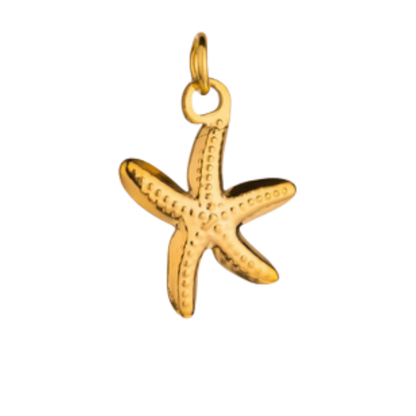 Sea & Ocean Collection